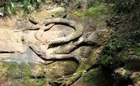 9月19日起施行!银保监会:《关于实施车险综合革新的指导意见》(附答记者问全文)_IM电竞官网(图1) IM电竞平台