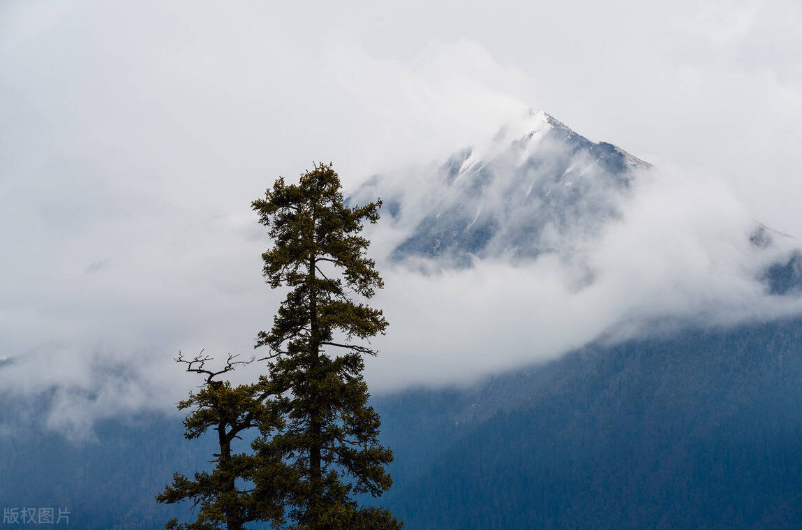 当归补血汤 炖汤佳品 两种药 一个补气 一个补血 以气补血|IM电竞官网(图8)
当归补血汤 炖汤佳品 两种药 一个补气 一个补血 以气补血|IM电竞官网(图8)