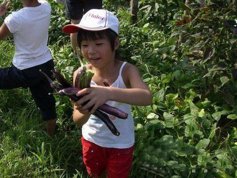 “IM电竞”看上海幼教现状,一窥半年后的幼教资产证券化(图3) IM电竞官网