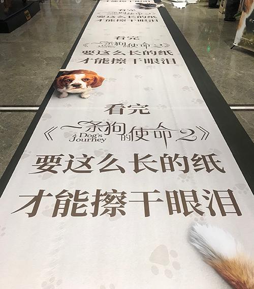 东京奥运圣火接力拟用氢能源 减少温室气体排放:IM电竞(图1) IM电竞平台