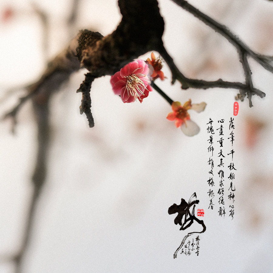 新野“全国科普日”宣传活动走进新航中学:IM电竞(图1) IM电竞平台