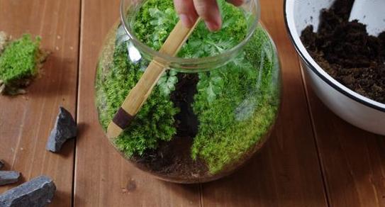 女人不想老得快 好悦目一看!!!:IM电竞官网(图2) IM电竞