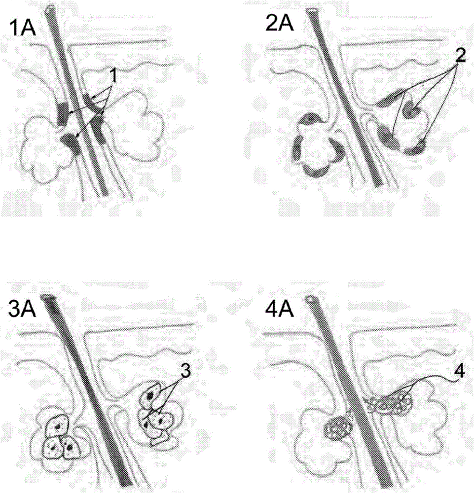 地下保单”又萌芽 保监会摸底港单-IM电竞平台(图2) IM电竞