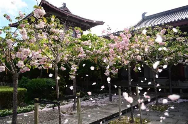 2014南京市秦淮区小升初招生办法_IM电竞平台(图1) IM电竞平台