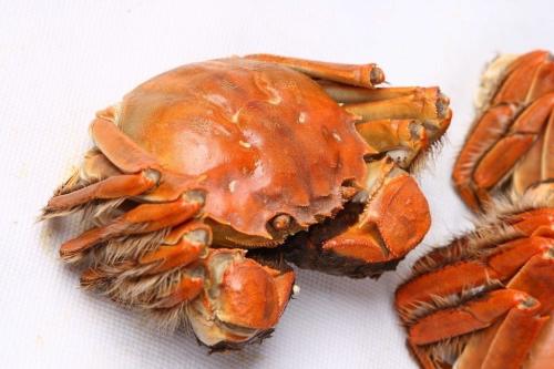 IM电竞官网|疫情就是命令,防控就是责任——上街区教科研中心主任、模范党员张雪峰(图2) IM电竞平台