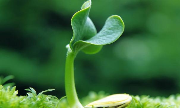 
男子最需要女人的这3种明白“IM电竞”(图4)