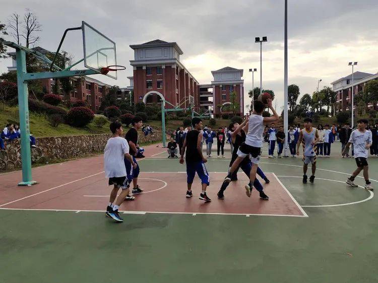 
第七届校园体育节——初中B部各项角逐正在火热举行……【IM电竞官网】(图11)