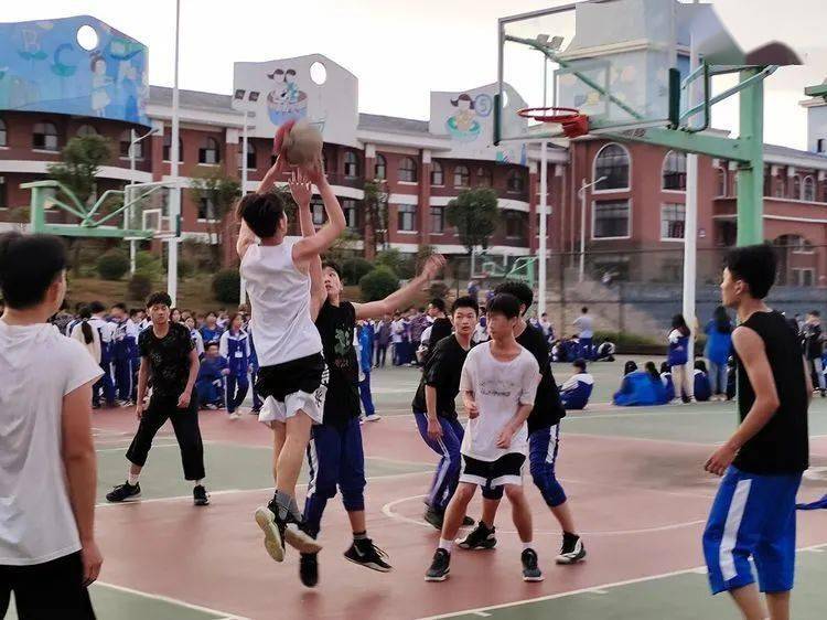 
第七届校园体育节——初中B部各项角逐正在火热举行……【IM电竞官网】(图13)