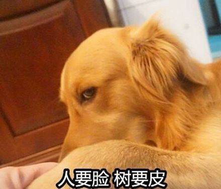 “IM电竞”
社会不良民风 女人对男子举行双标 影响极其恶劣(图5)